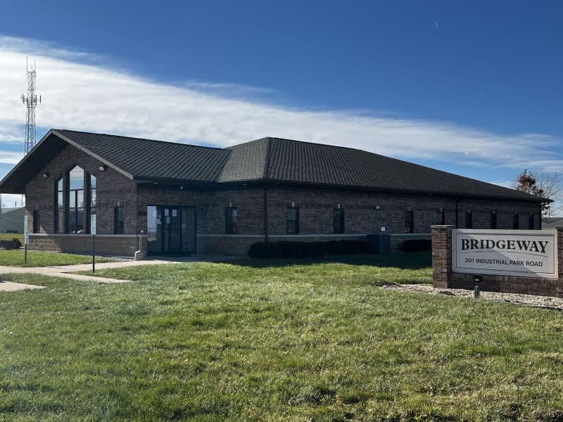 Bridgeway Inc