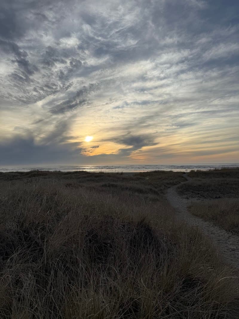 Free by the Sea