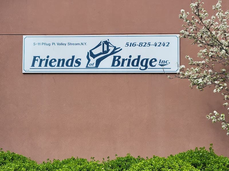 Friends of Bridge Inc