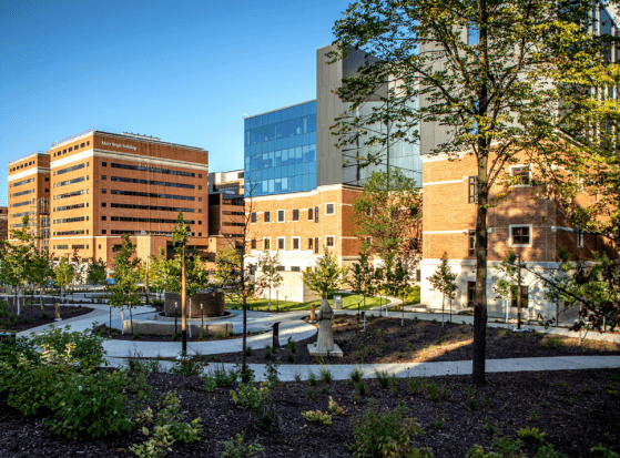 Mayo Clinic Health System