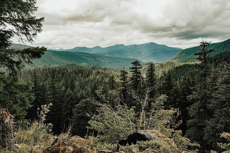 Willapa Behavioral Health and Wellness